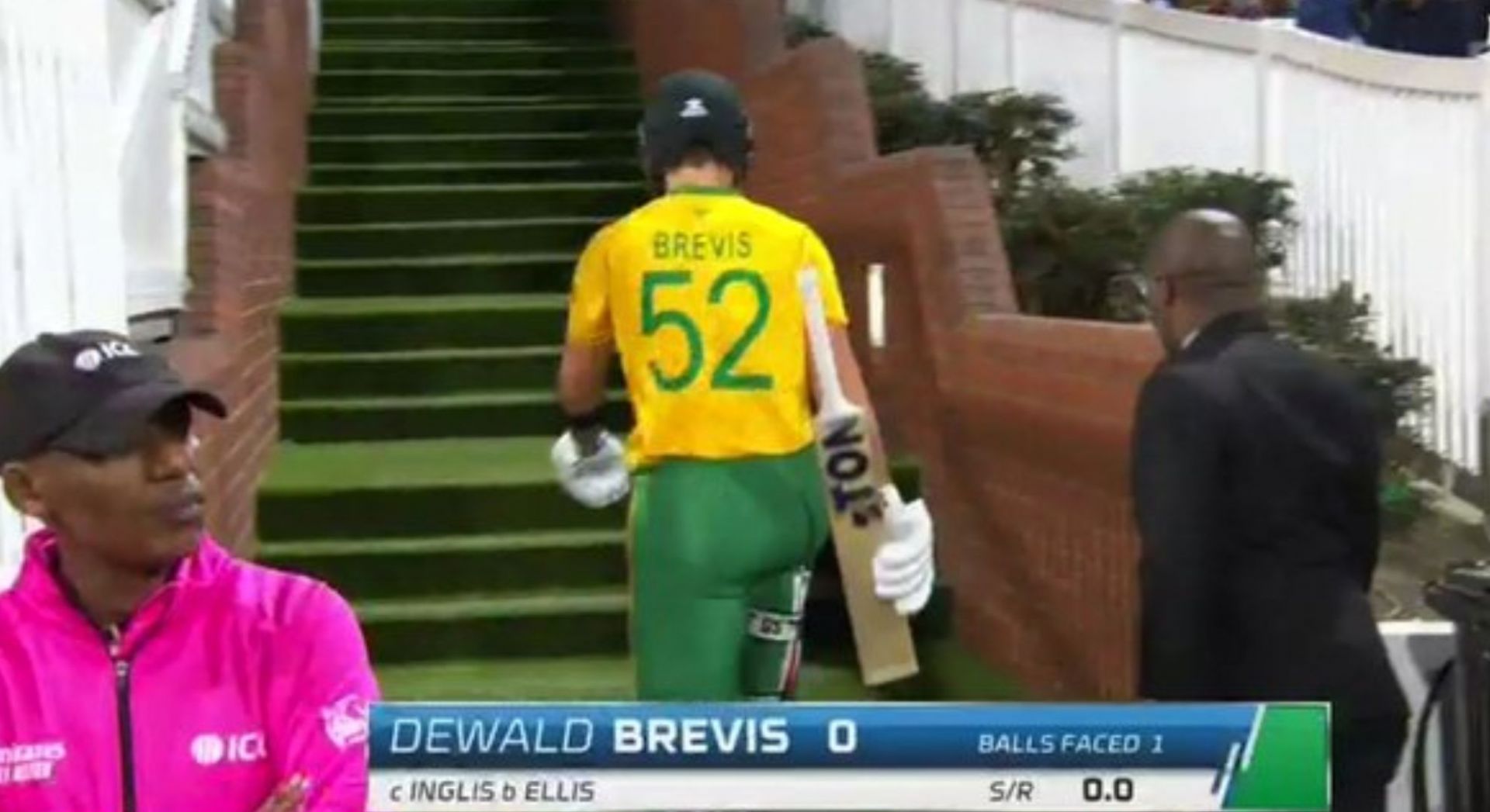 Dewald Brevis