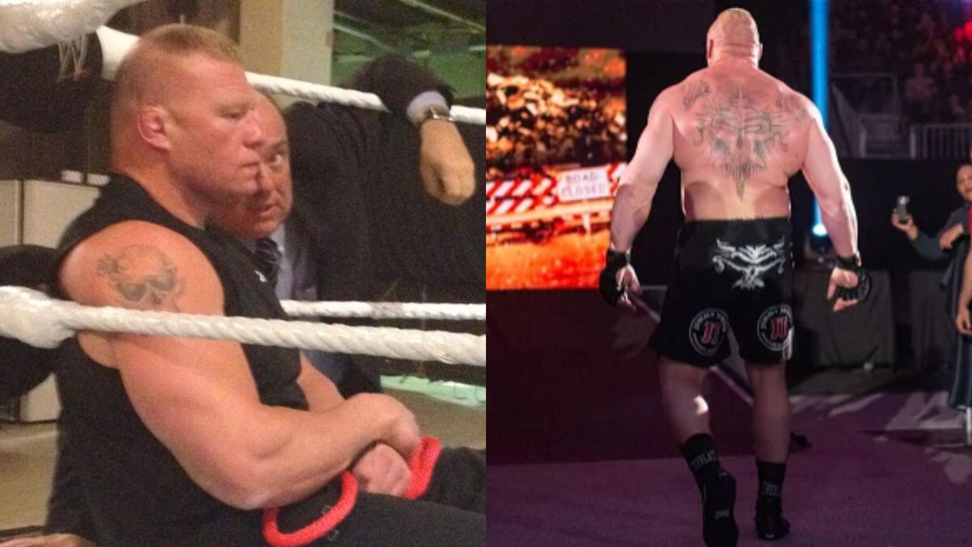 Brock Lesnar is massively popular in and outside WWE