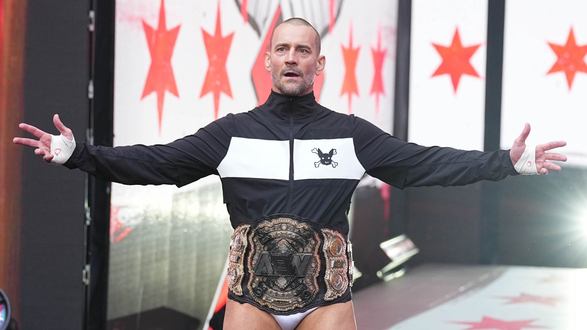 CM Punk is a former WWE Champion!