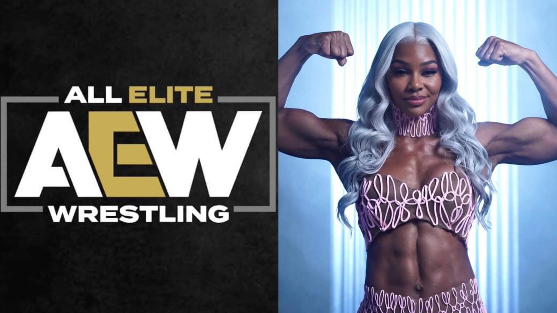 Which AEW star would you like to see in WWE? 