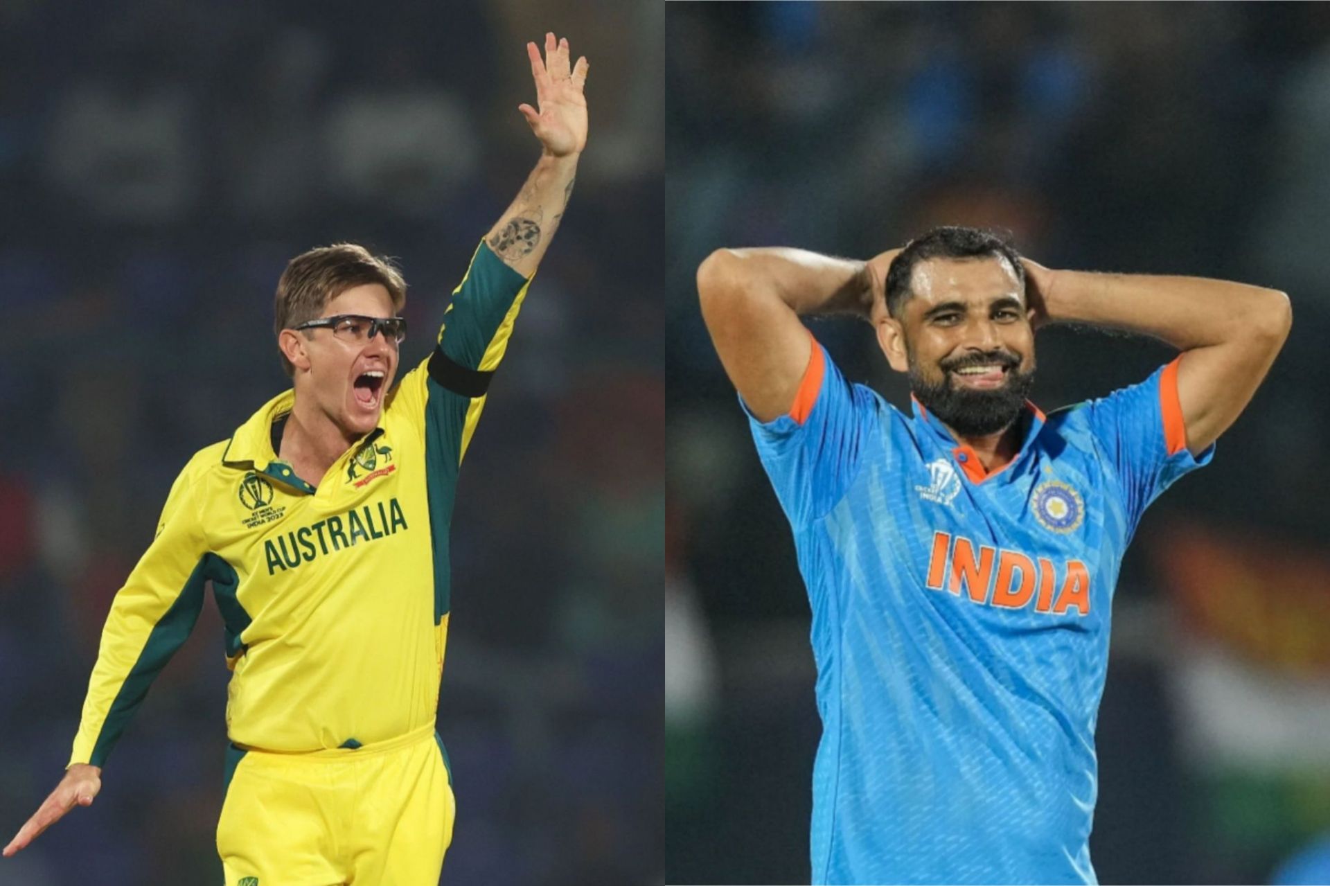 Both Adam Zampa and Mohammed Shami are part of this list [Getty Images]