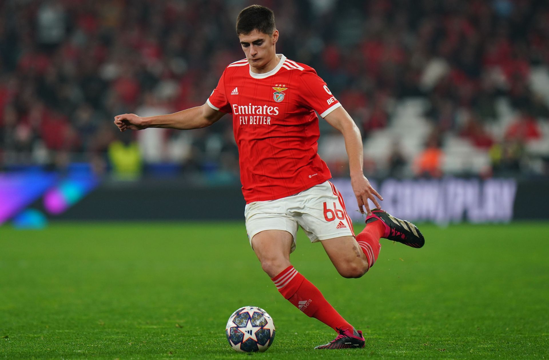 Manchester United&#039;s target in action for Benfica 2023-24