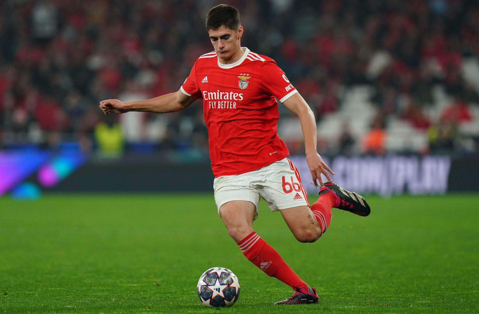 Manchester United's target in action for Benfica 2023-24