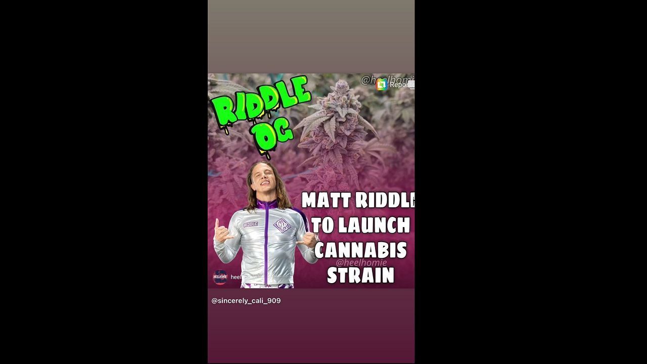 Matt Riddle&#039;s Instagram story