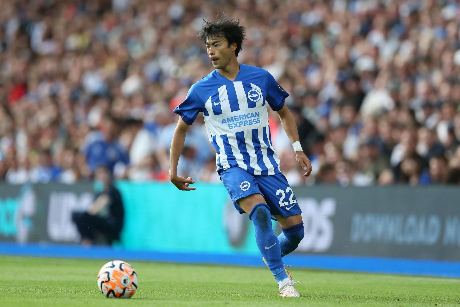 Brighton & Hove Albion v Newcastle United - Premier League