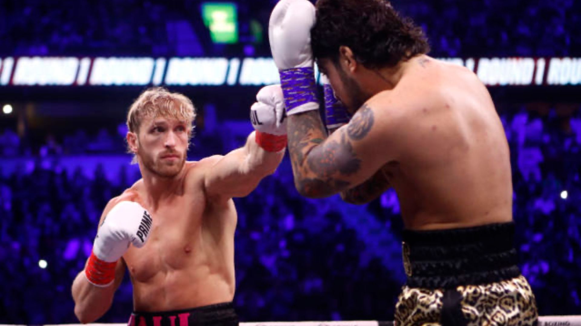 Logan Paul and Dillon Danis during their boxing match. Image Credits: X fka Twitter