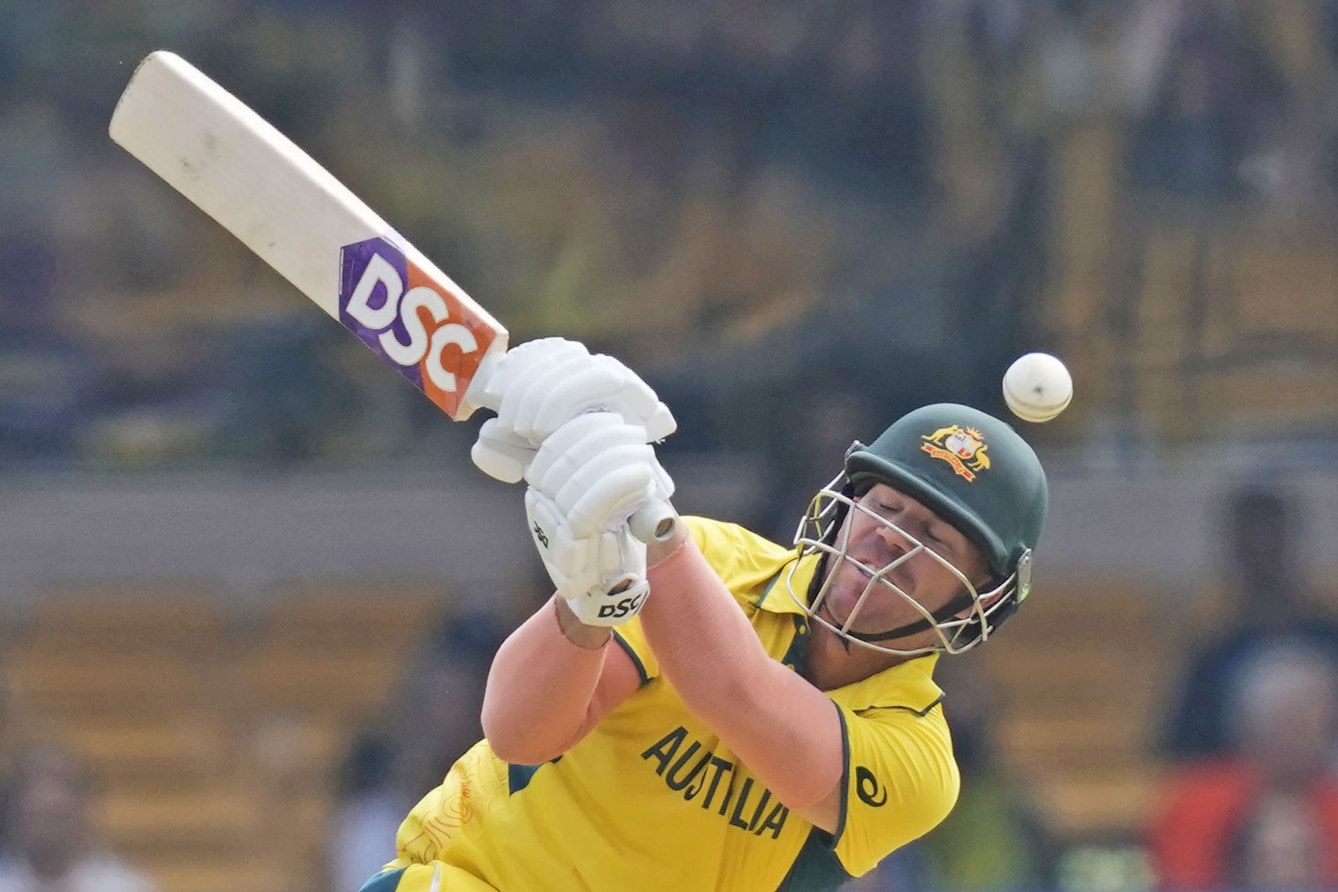 David Warner holds the key at the top of the order