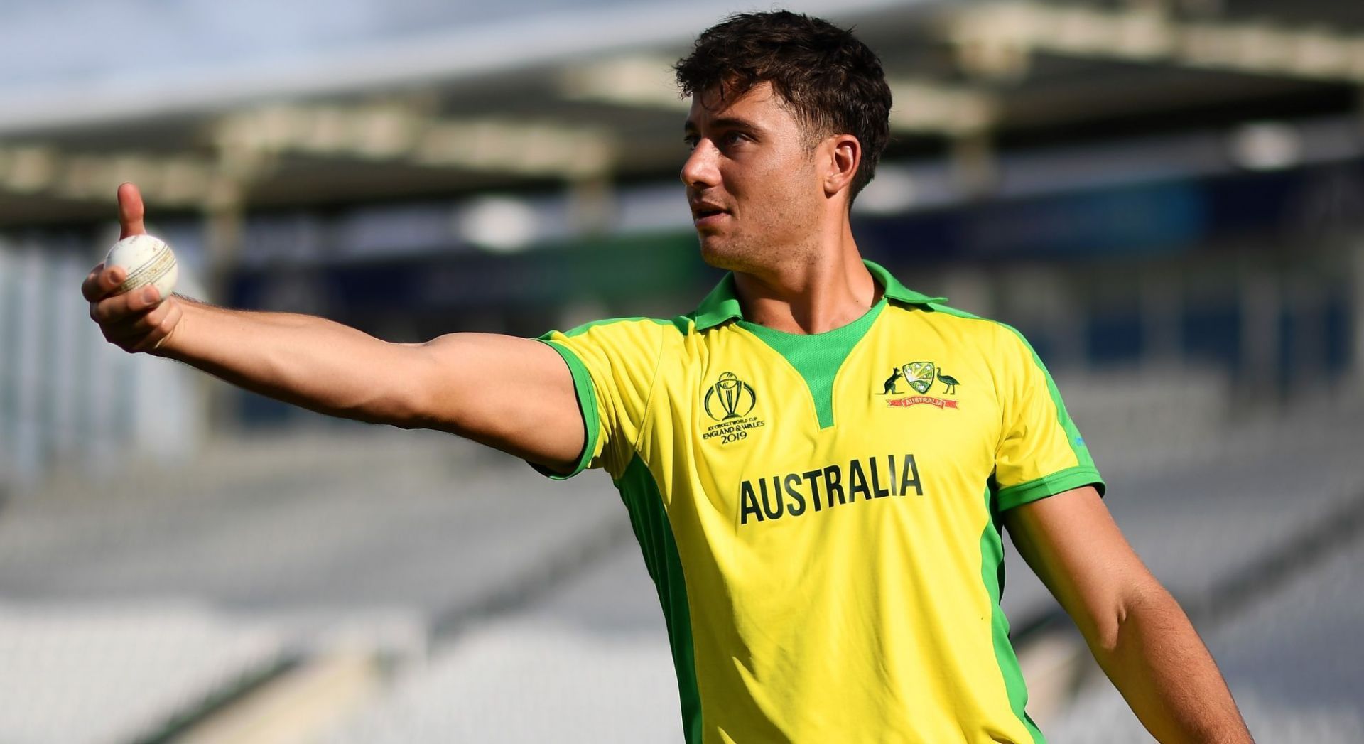 Stoinis