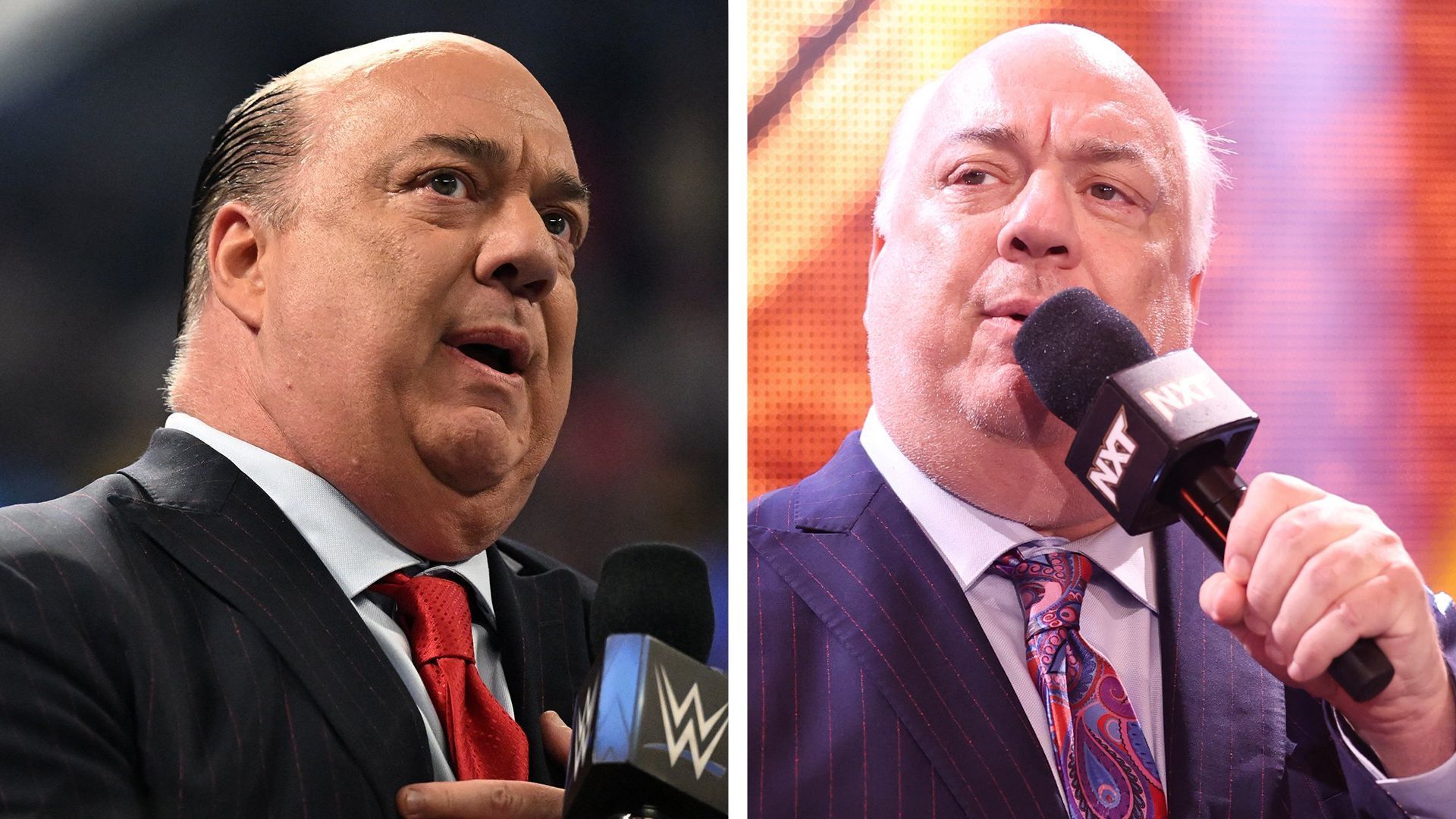 Paul Heyman could be recruiting a new WWE superstar