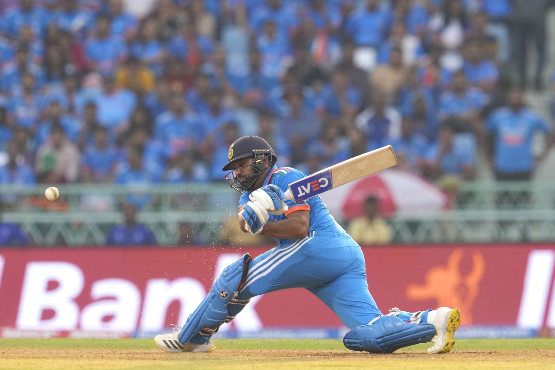 Rohit Sharma was at his belligerent best in the 2023 ODI World Cup. (P/C: AP)