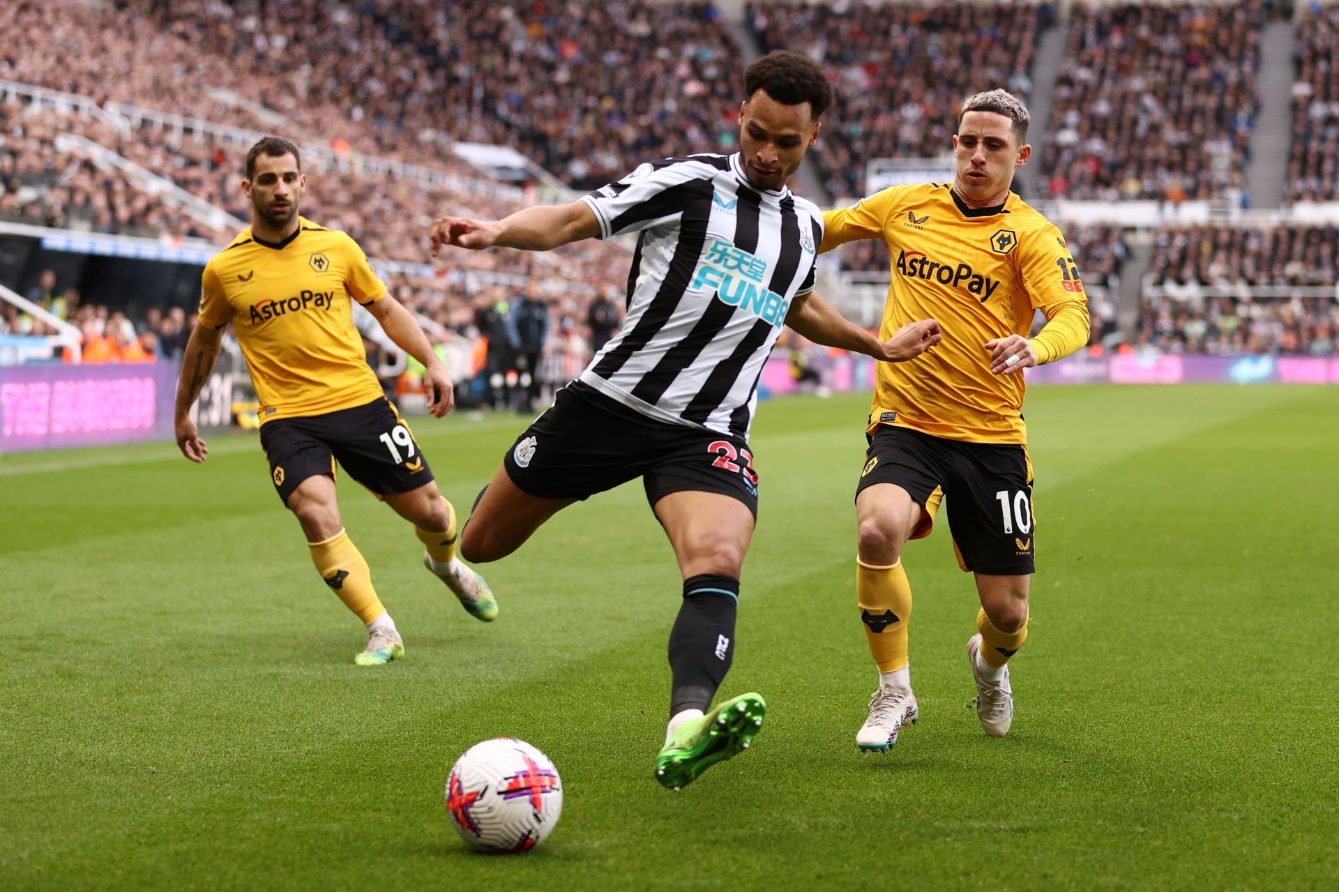 Newcastle United v Wolverhampton Wanderers - Premier League