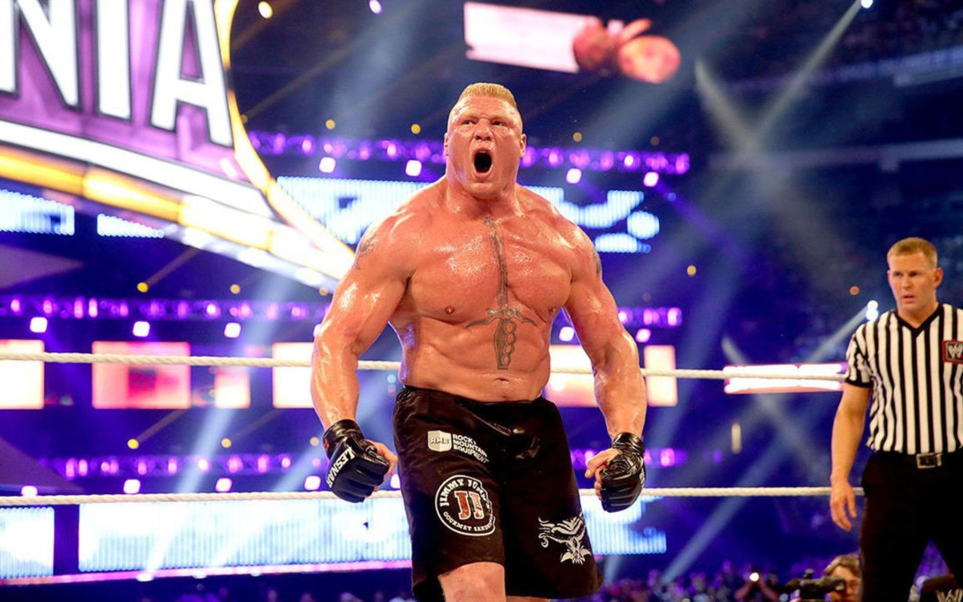 The Beast Incarnate Brock Lesnar.