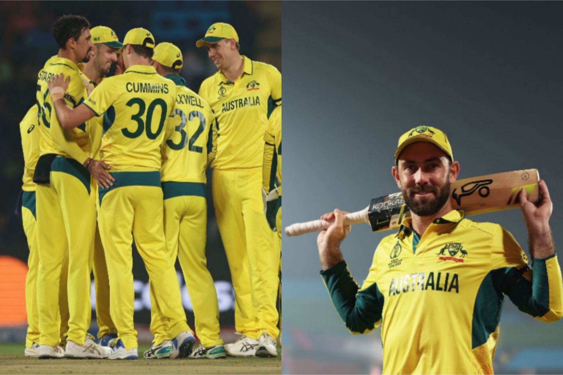 Australia beat Netherlands by 309 runs in Delhi [Getty Images]
