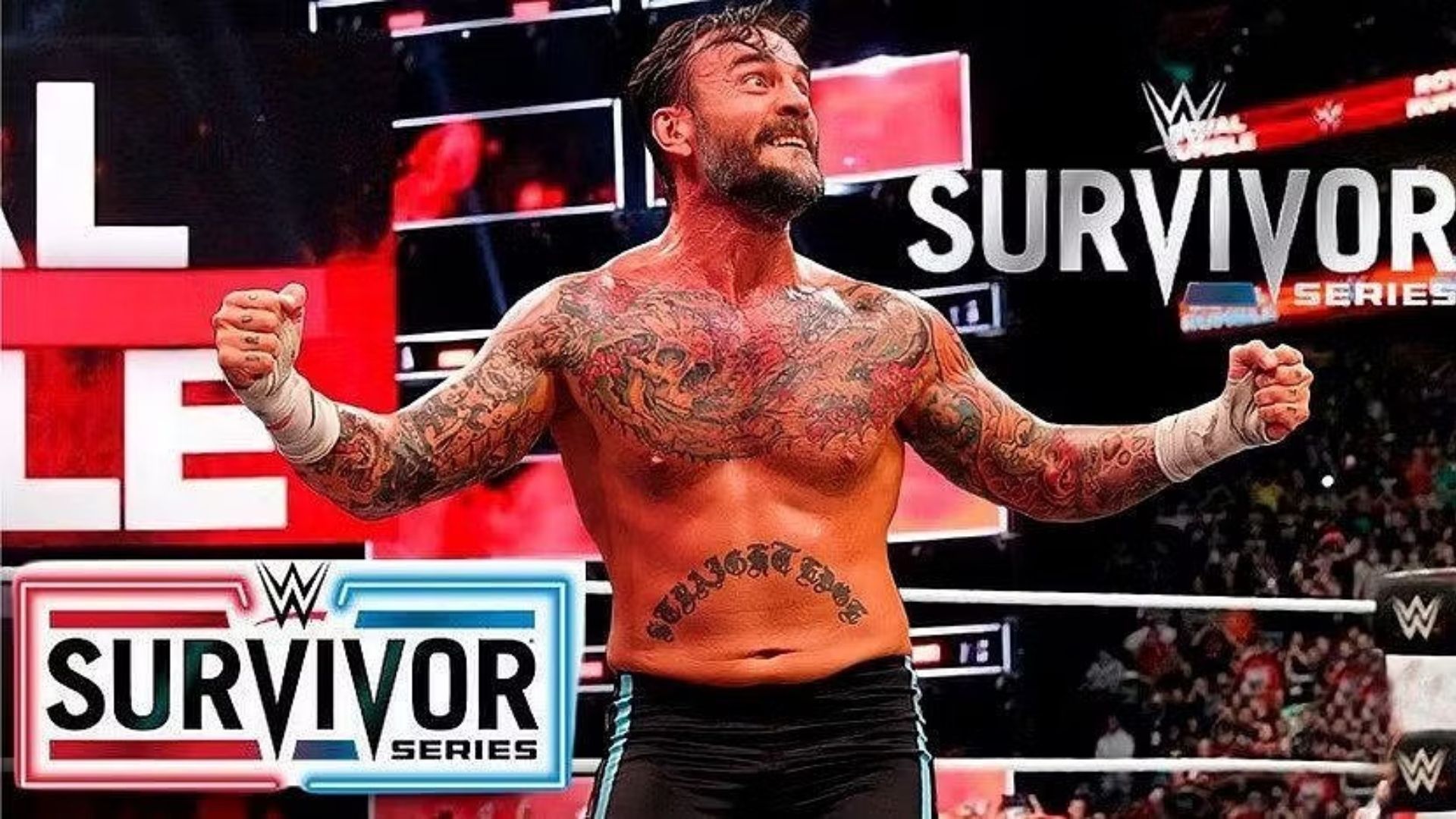 cm punk survivor series wwe