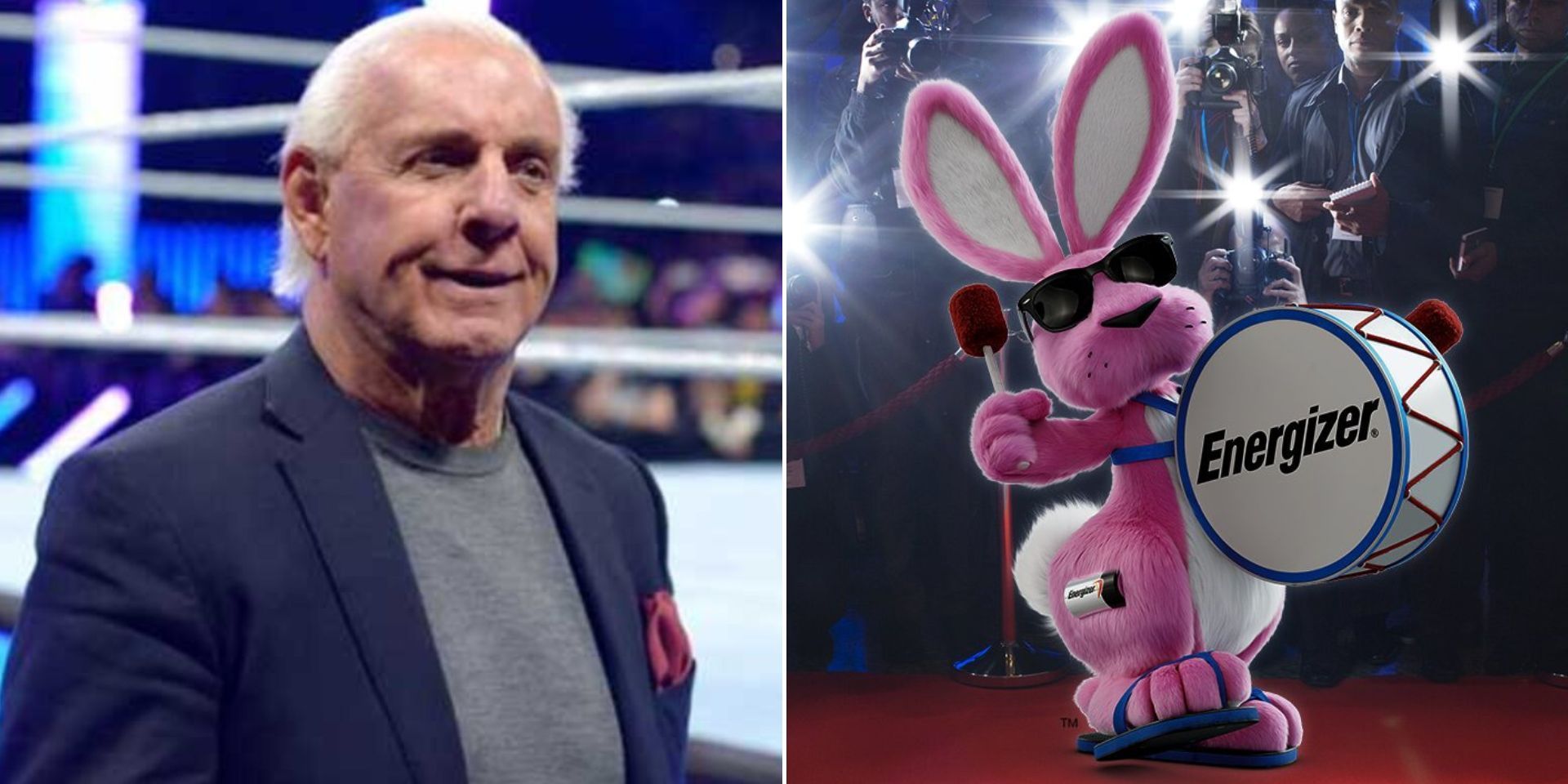 A WWE veteran has compared Ric Flair to a bunny