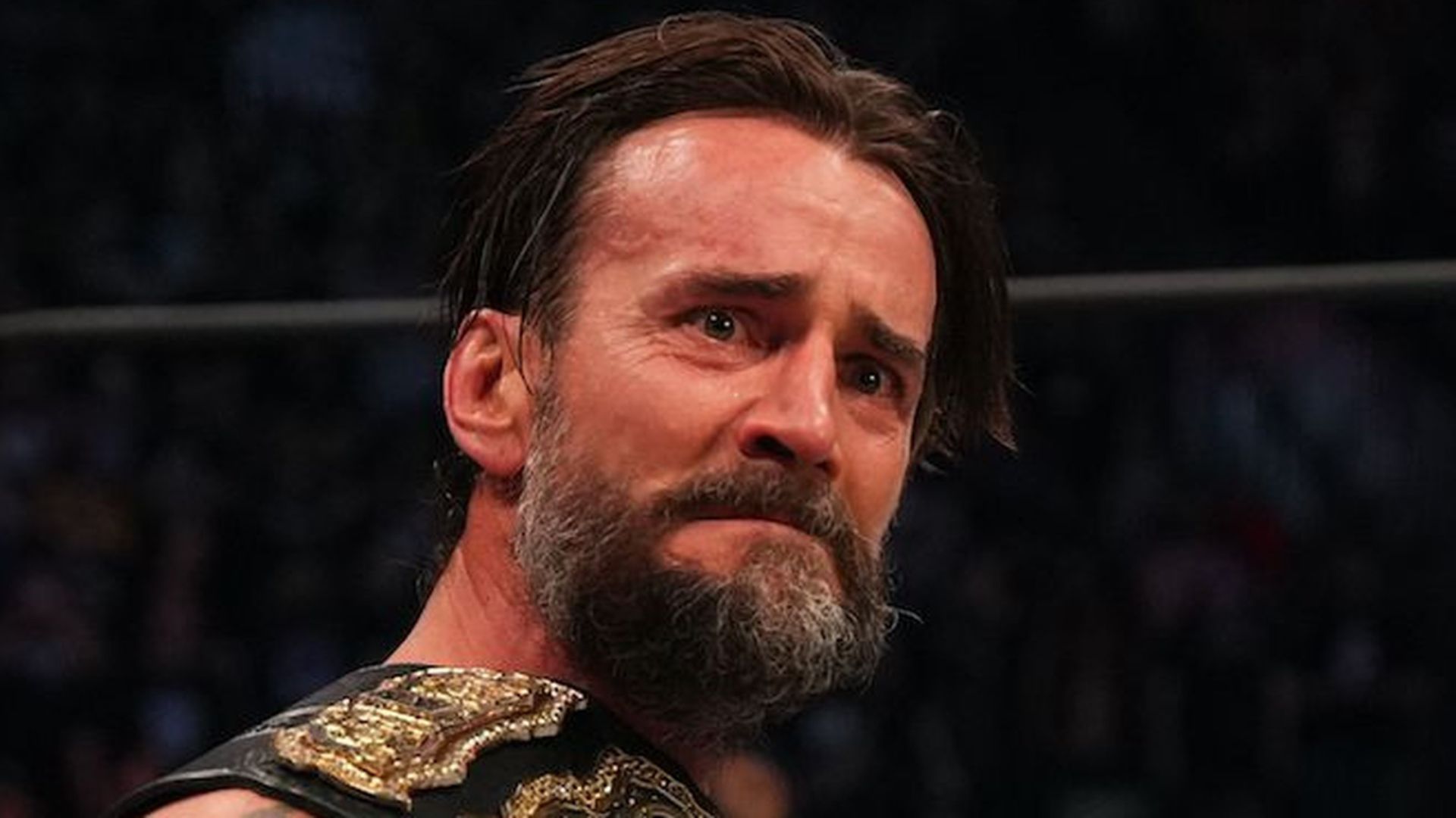 Former WWE and AEW World Champion CM Punk