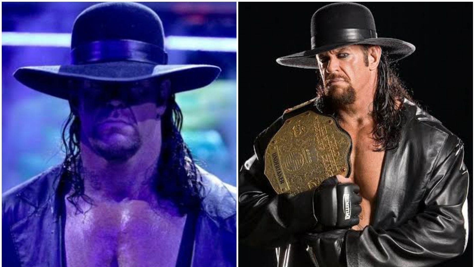 The Undertaker is a WWE Hall of Famer.