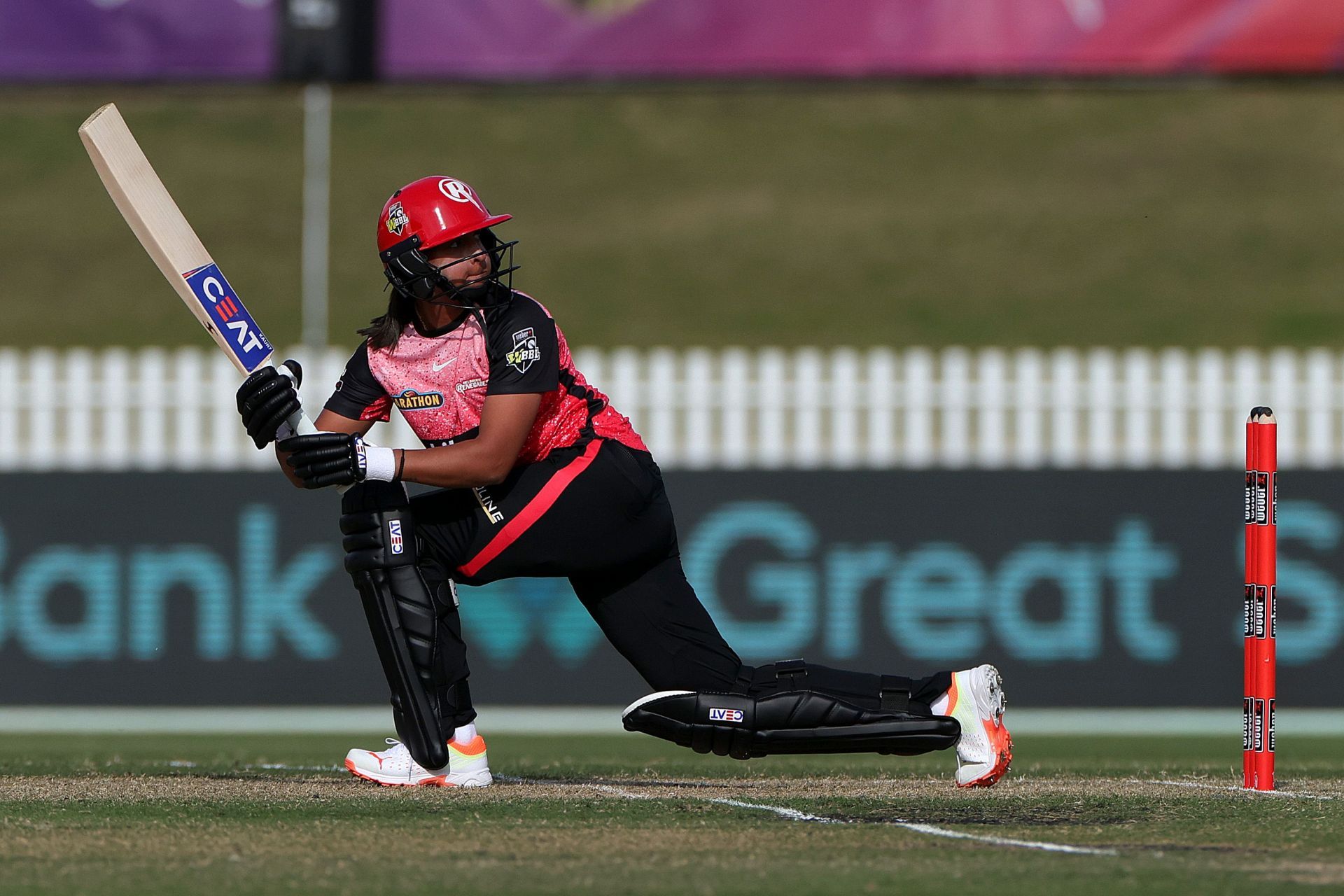 WBBL - Melbourne Renegades v Brisbane Heat