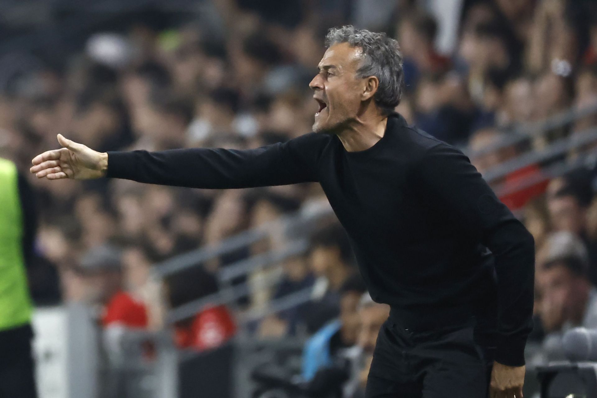 New Parisians boss Luis Enrique