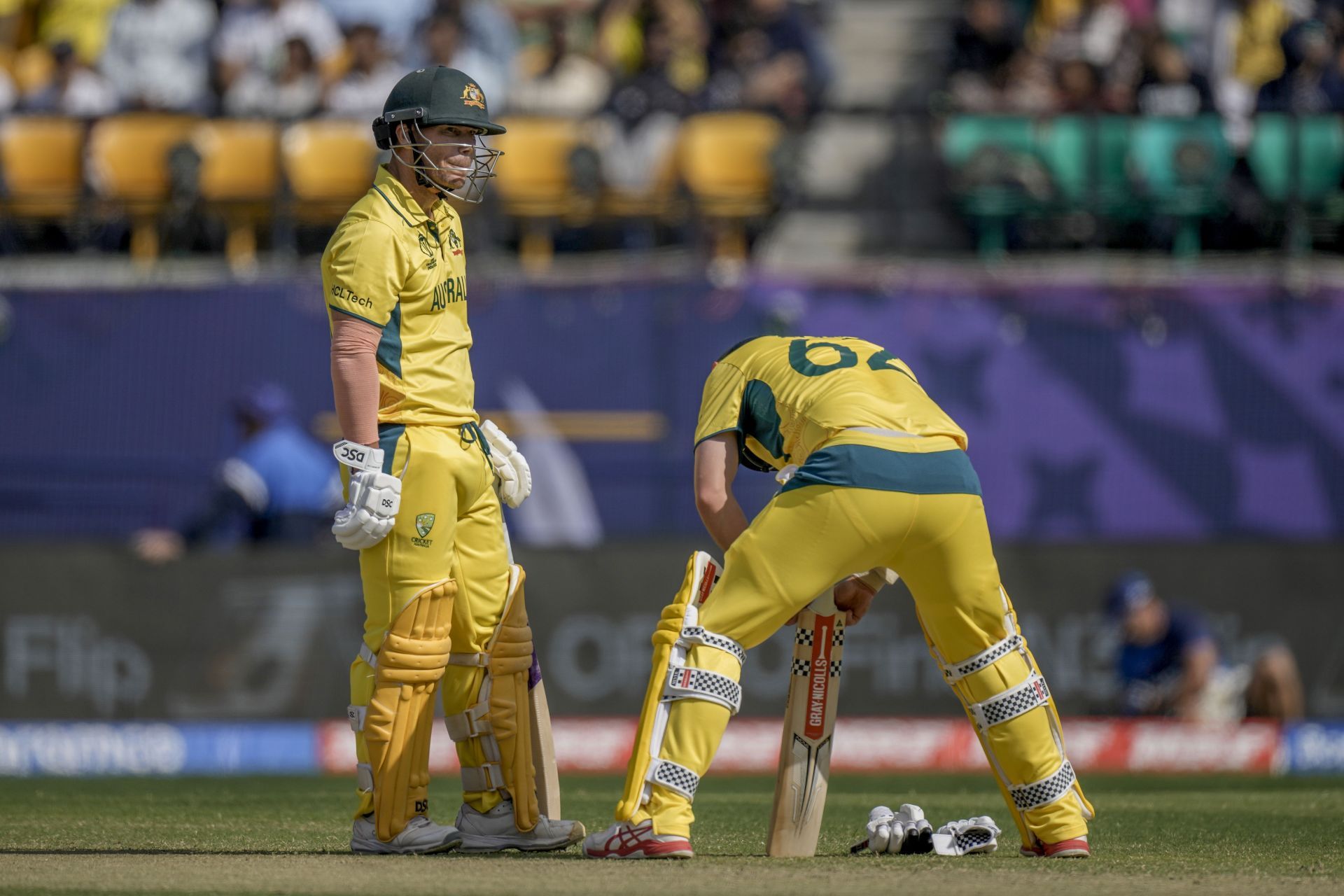 Warner-Head raced off the blocks for Australia