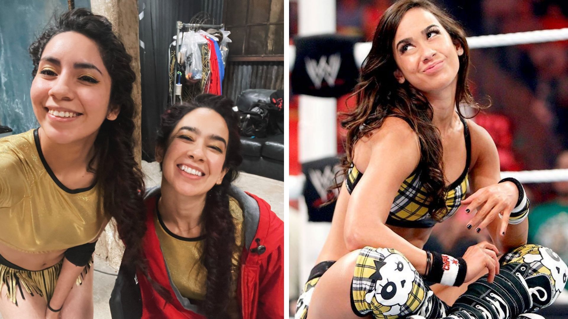 AJ Lee starred in the second season of TV series Heels