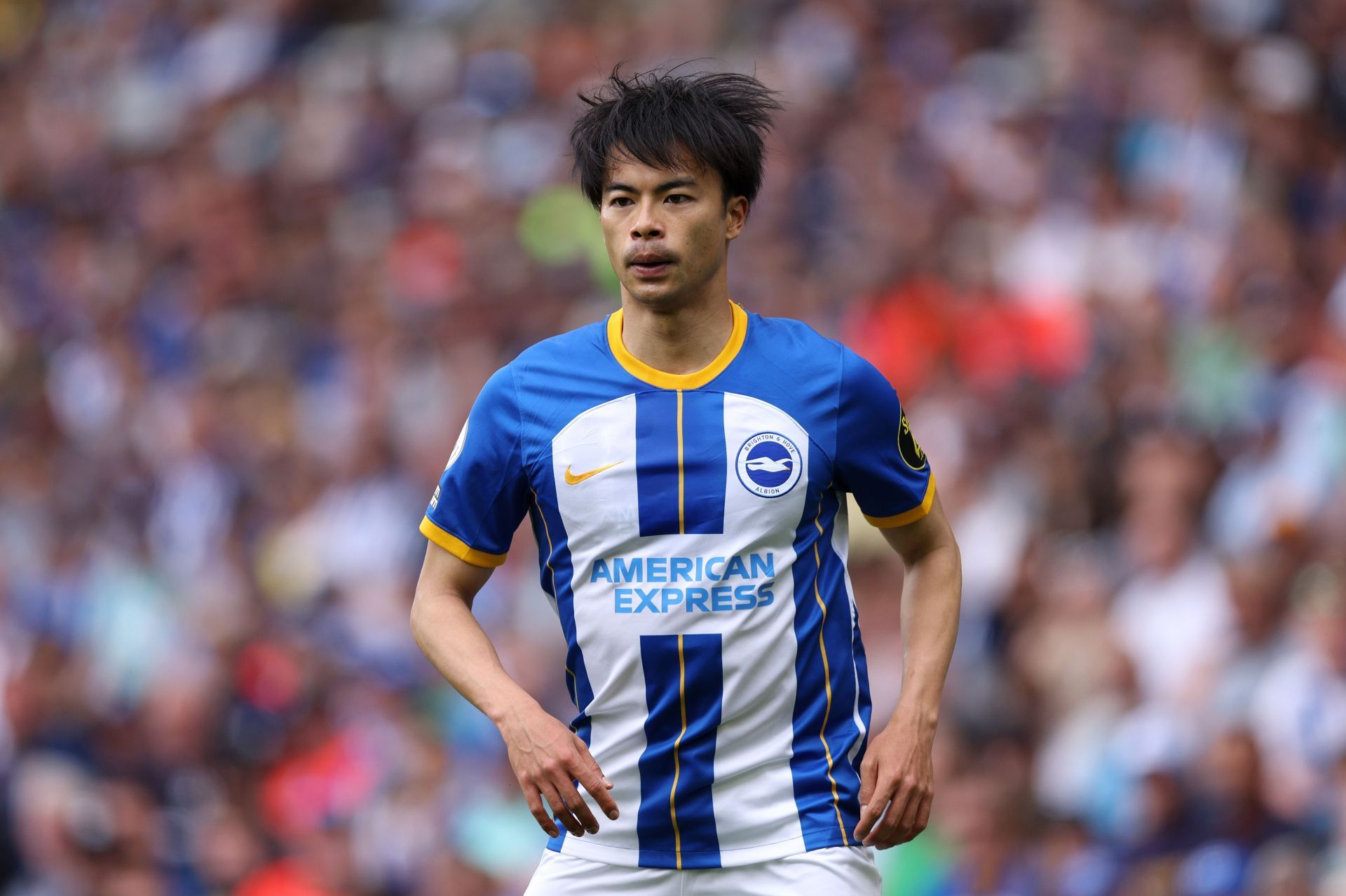 Brighton &amp; Hove Albion v Southampton FC - Premier League