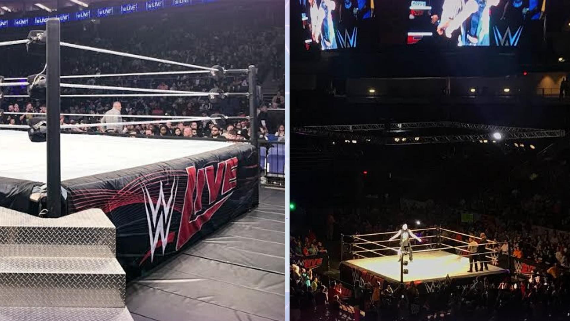 WWE ring and arena