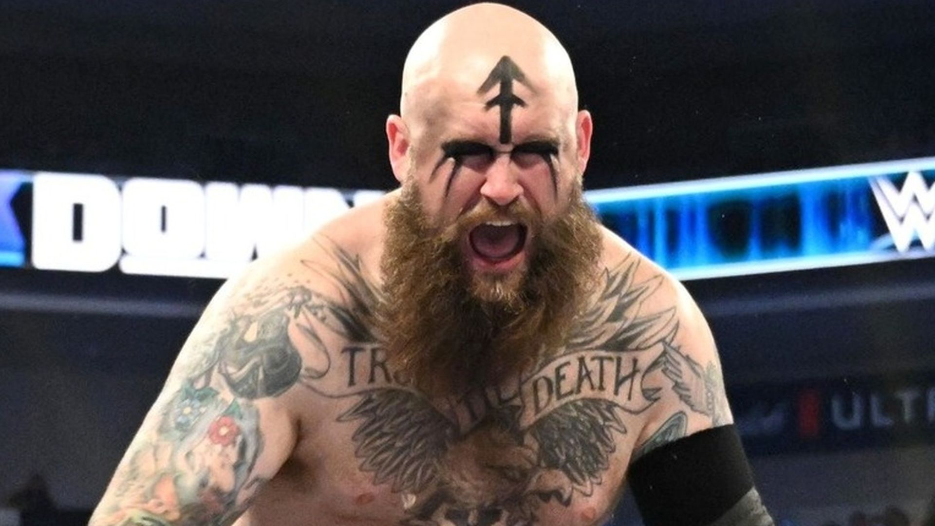 Erik of The Viking Raiders. Image Credits: wwe.com