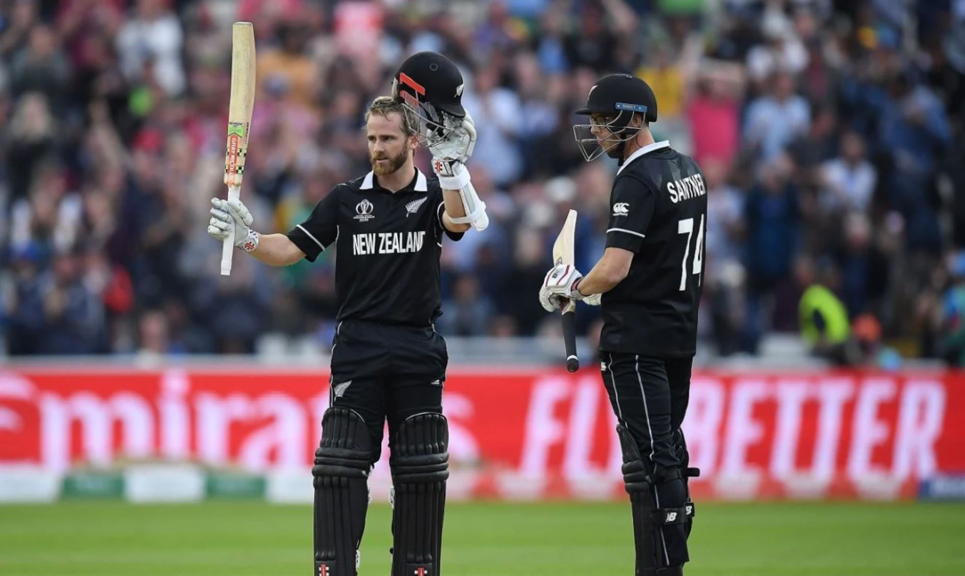 Kane Williamson single-handedly led New Zealand to a final-over victory against the Proteas.