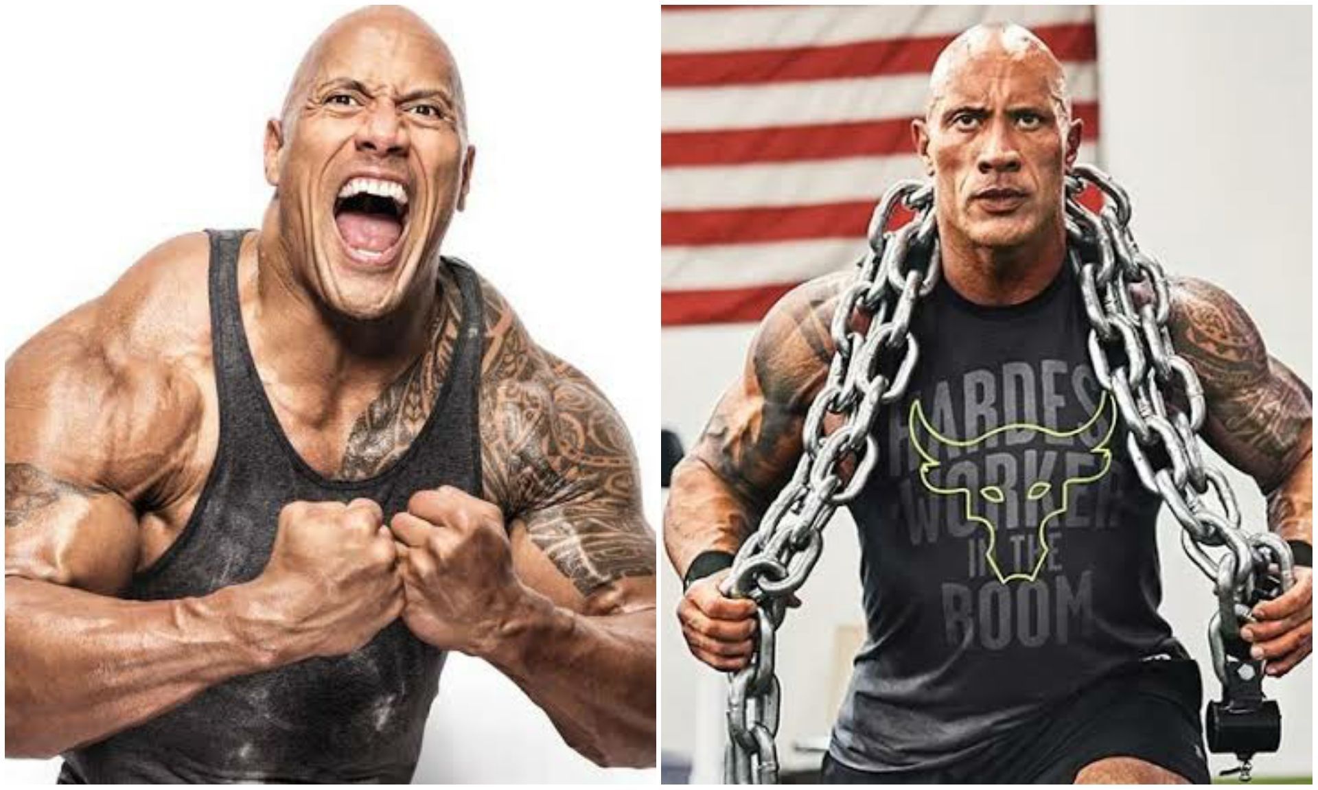 The Rock is a Hollywood megastar.