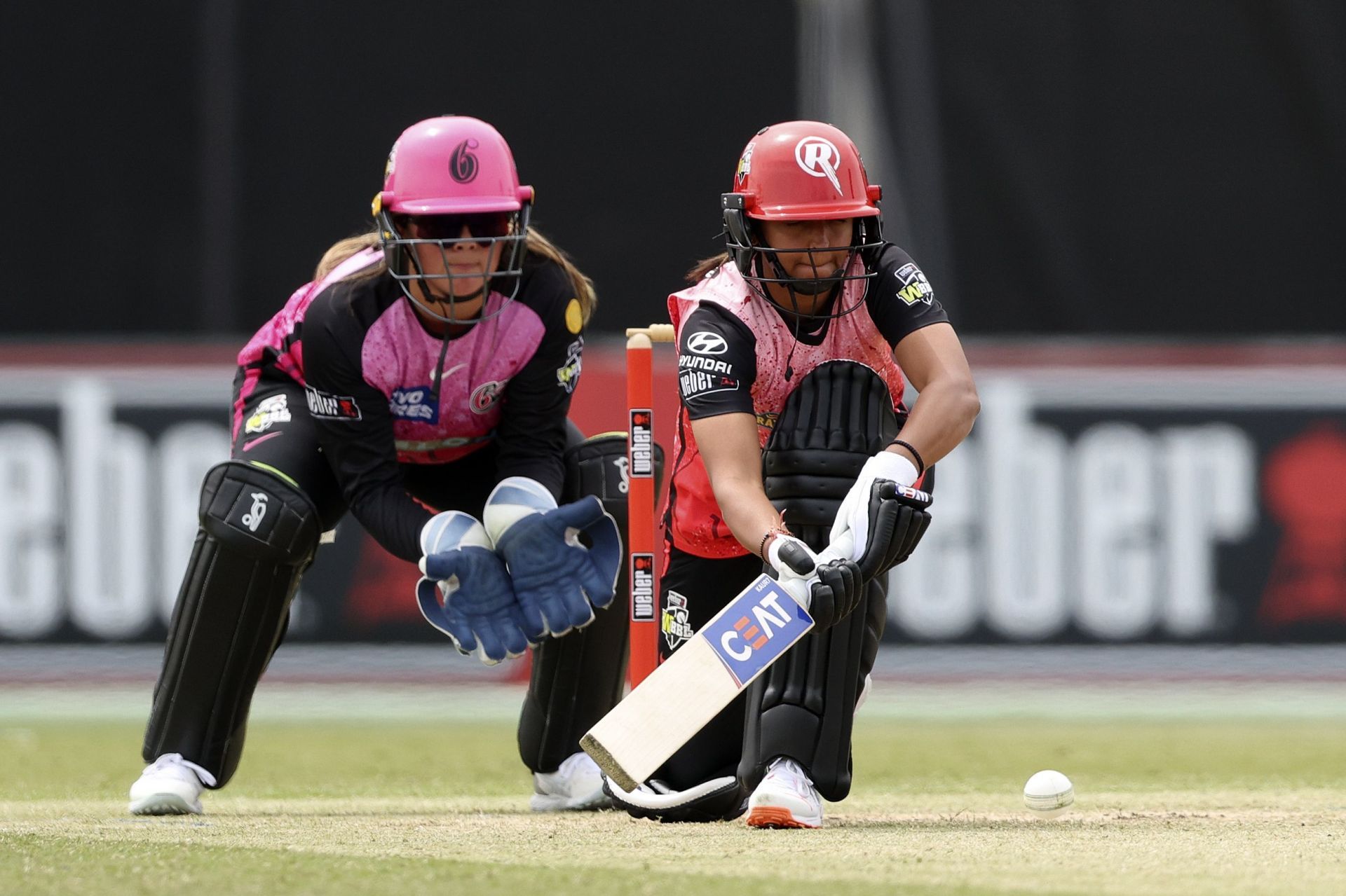 WBBL - Melbourne Renegades v Sydney Sixers