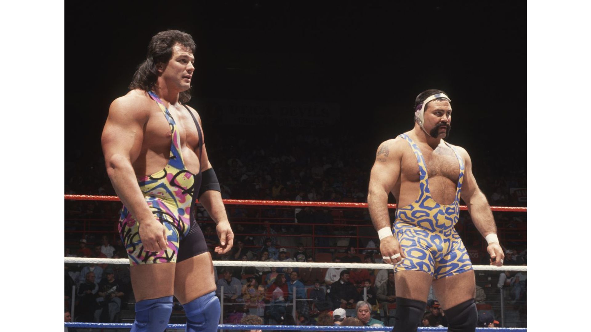 The Steiners were inducted into the WWE Hall of Fame as a tag team