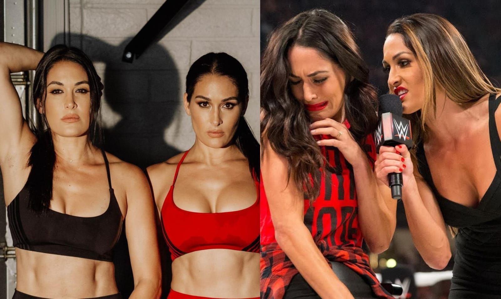 Nikki Bella and Brie Bella are former WWE Superstars