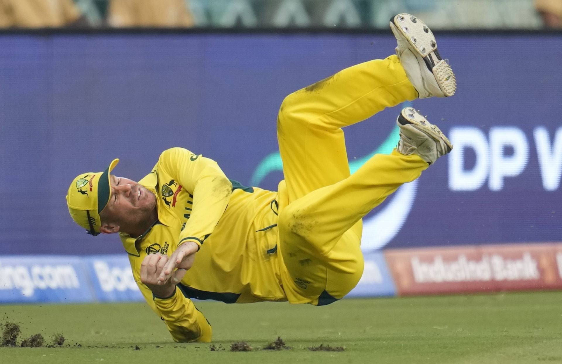 David Warner on the field for Australia this World Cup.