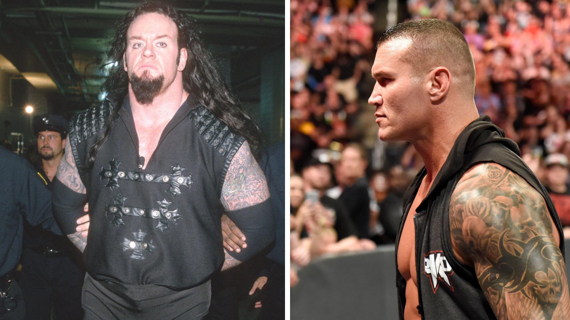 WWE stars that has proven themselves to become Mr. Survivor Series