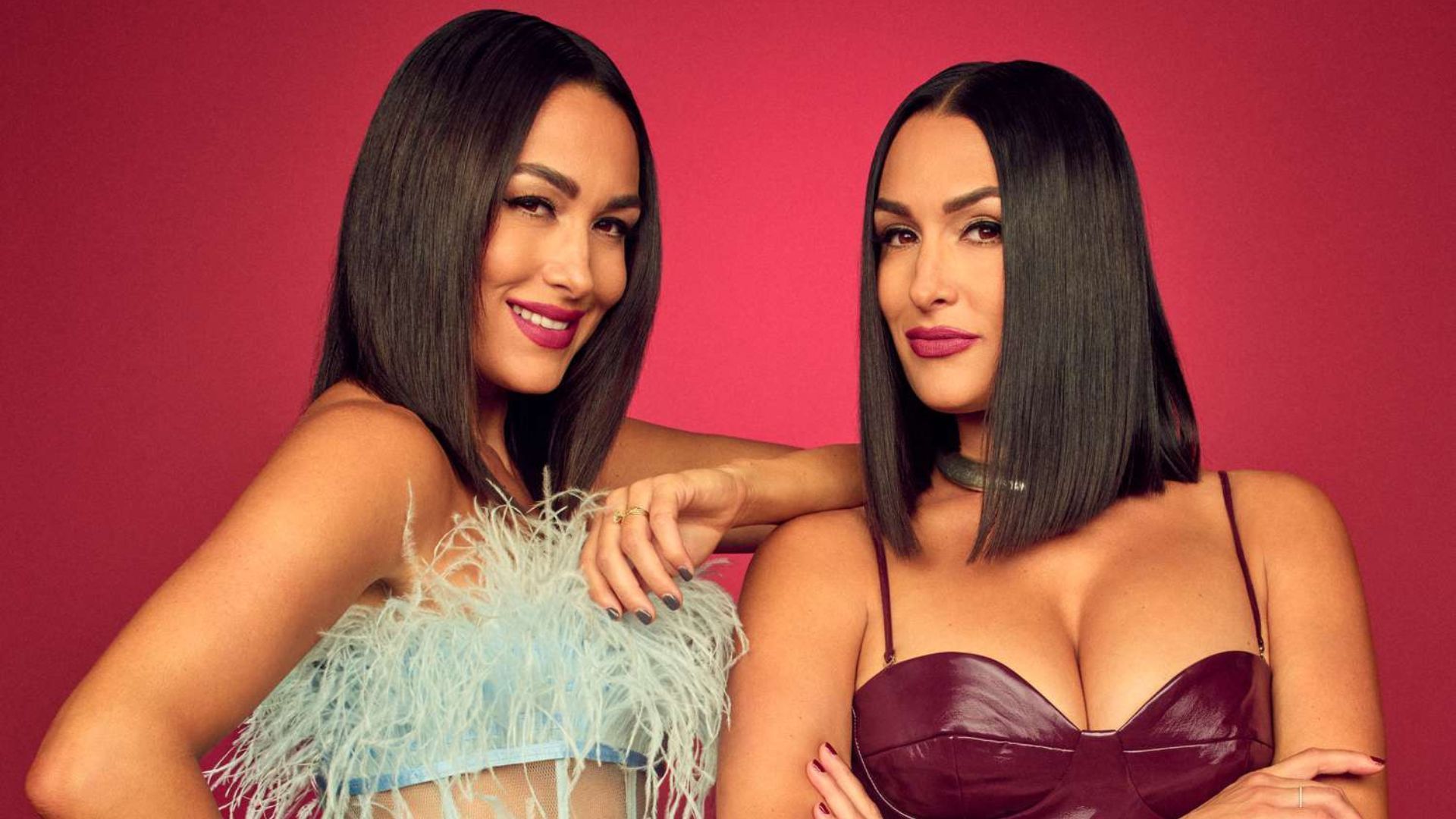 Nikki and Brie Bella are no longer on the roster.