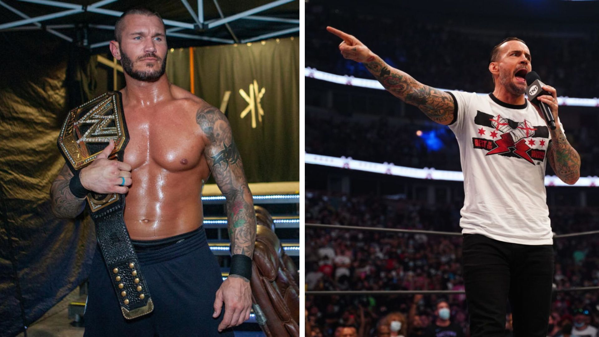 Randy Orton and CM Punk are currently not active in the ring