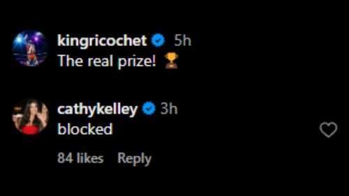 Screenshot of Cathy Kelley's comment under Ricochet's Instagram post