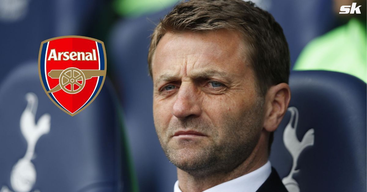 Sky Sports pundit - Tim Sherwood    