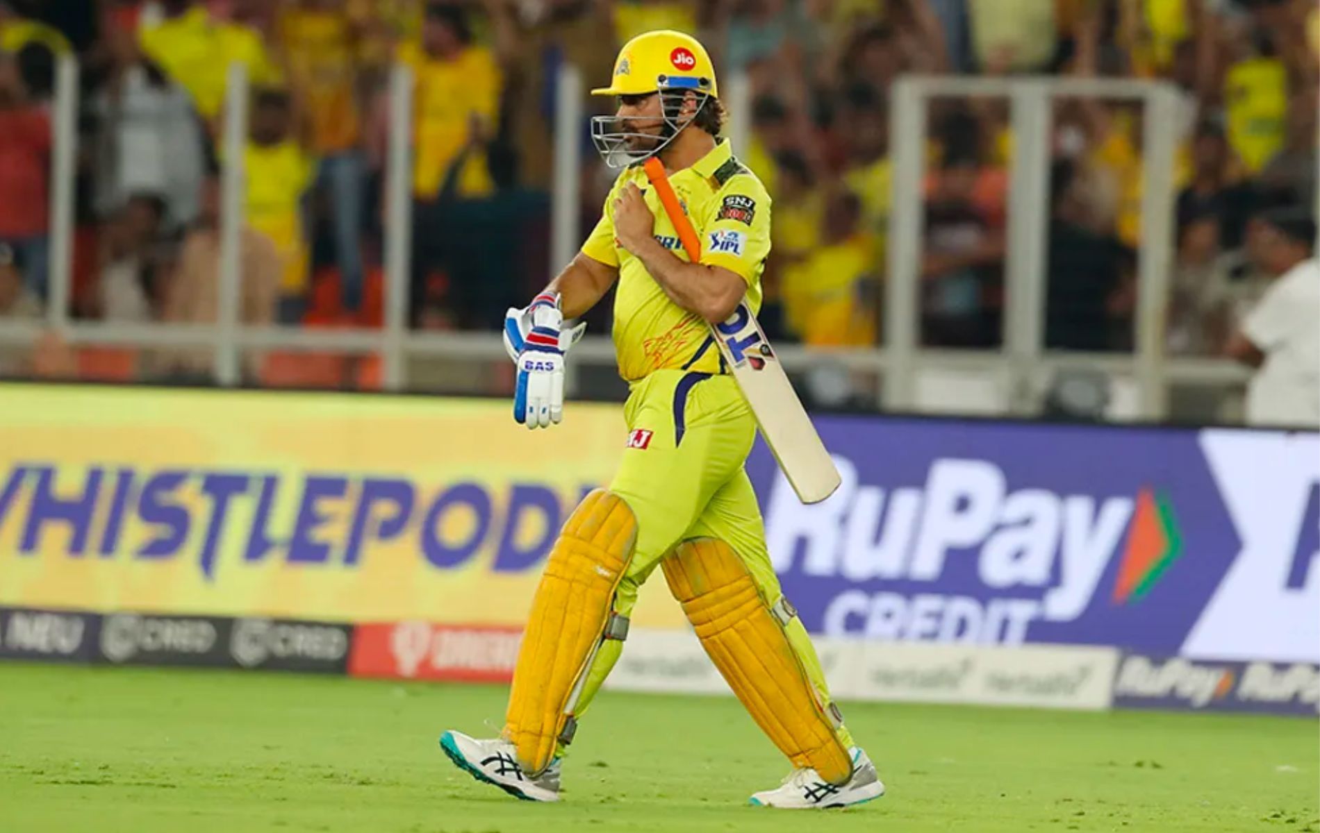 MS Dhoni will continue to lead CSK in the next year