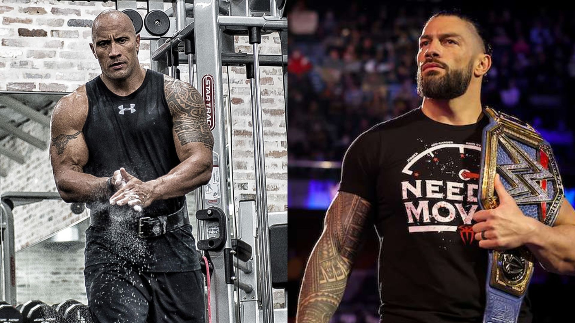 The Rock (left), Roman Reigns (right)