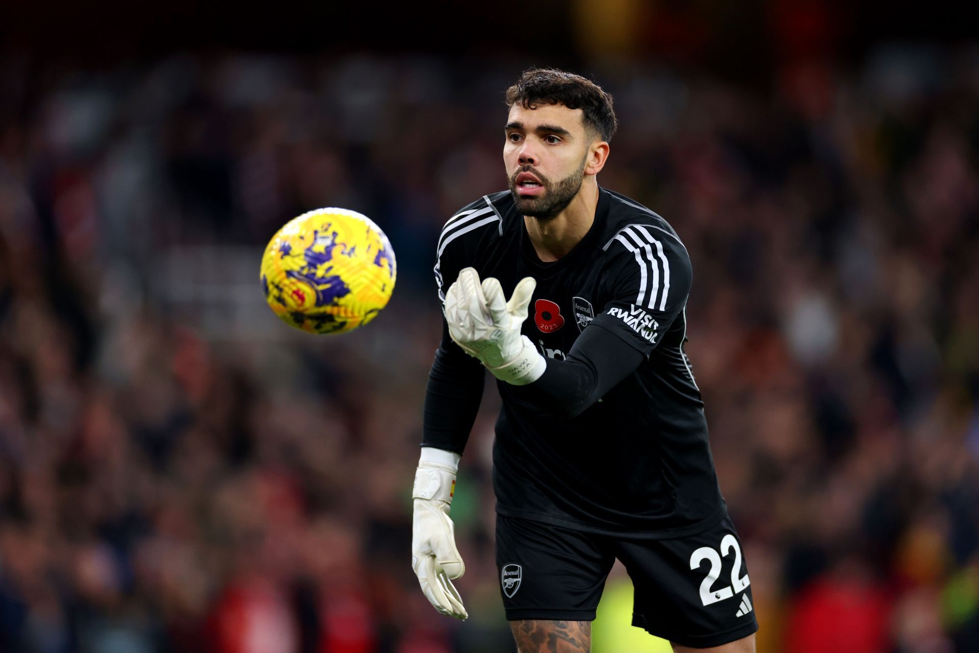 David Raya arrived at the Emirates this summer.