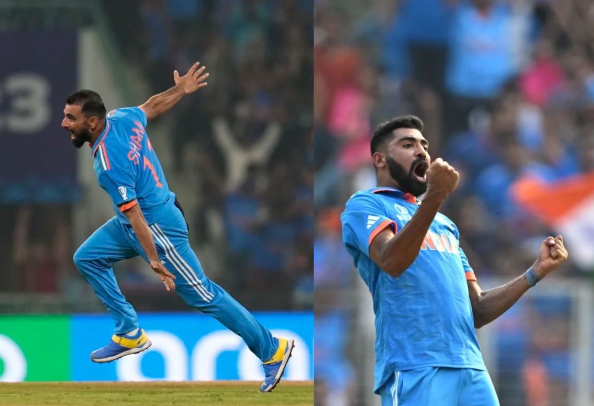 Shami has outbowled Siraj in the ongoing World Cup