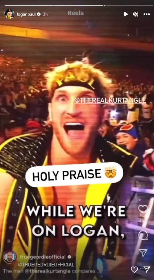 Screengrab of Logan Paul's Instagram stories