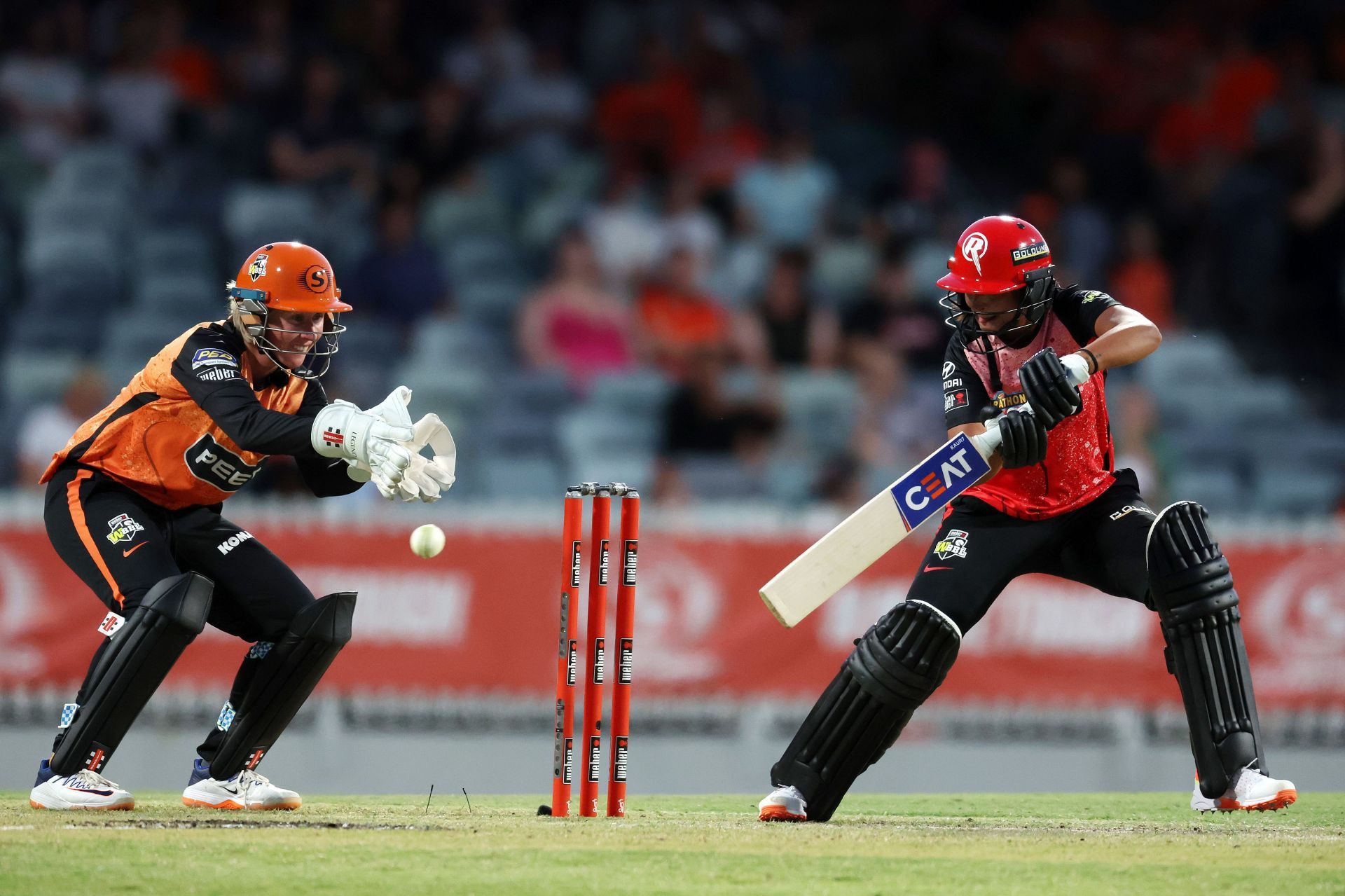 WBBL - Perth Scorchers v Melbourne Renegades