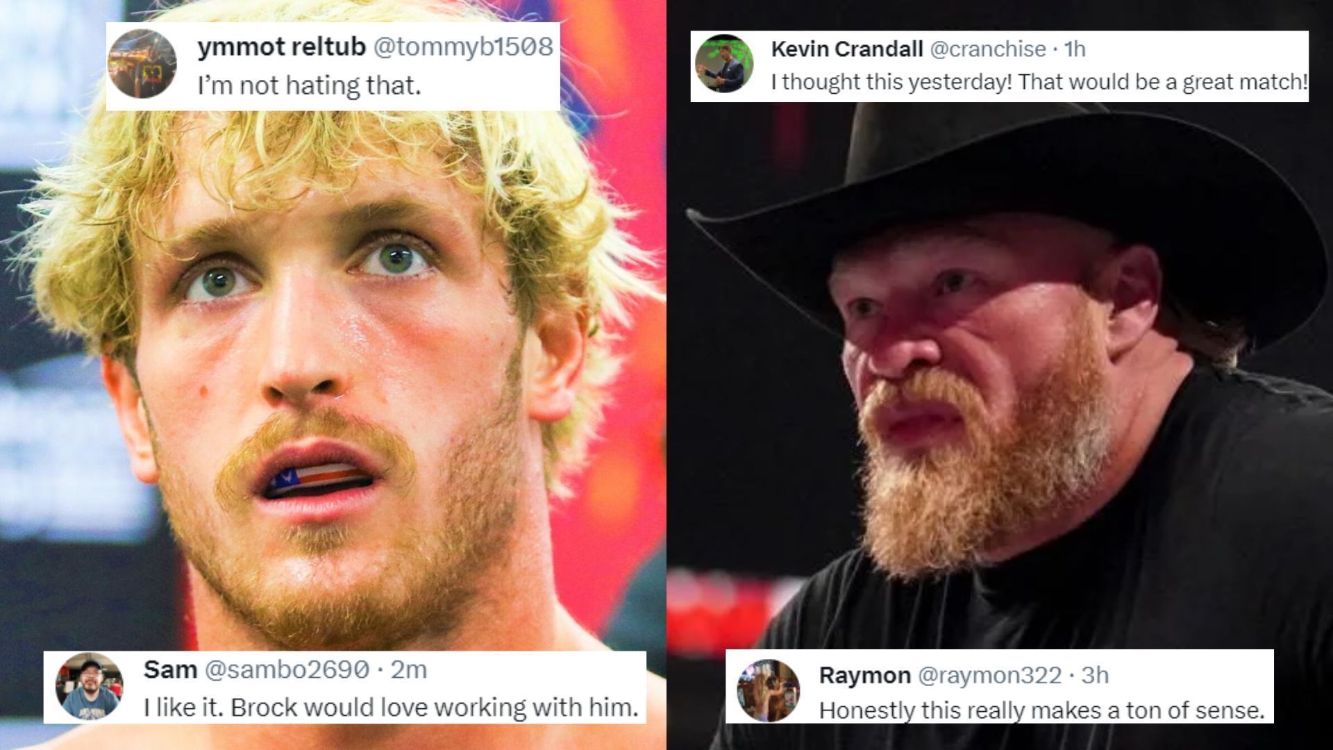 Logan Paul vs. Brock Lesnar...Anyone?