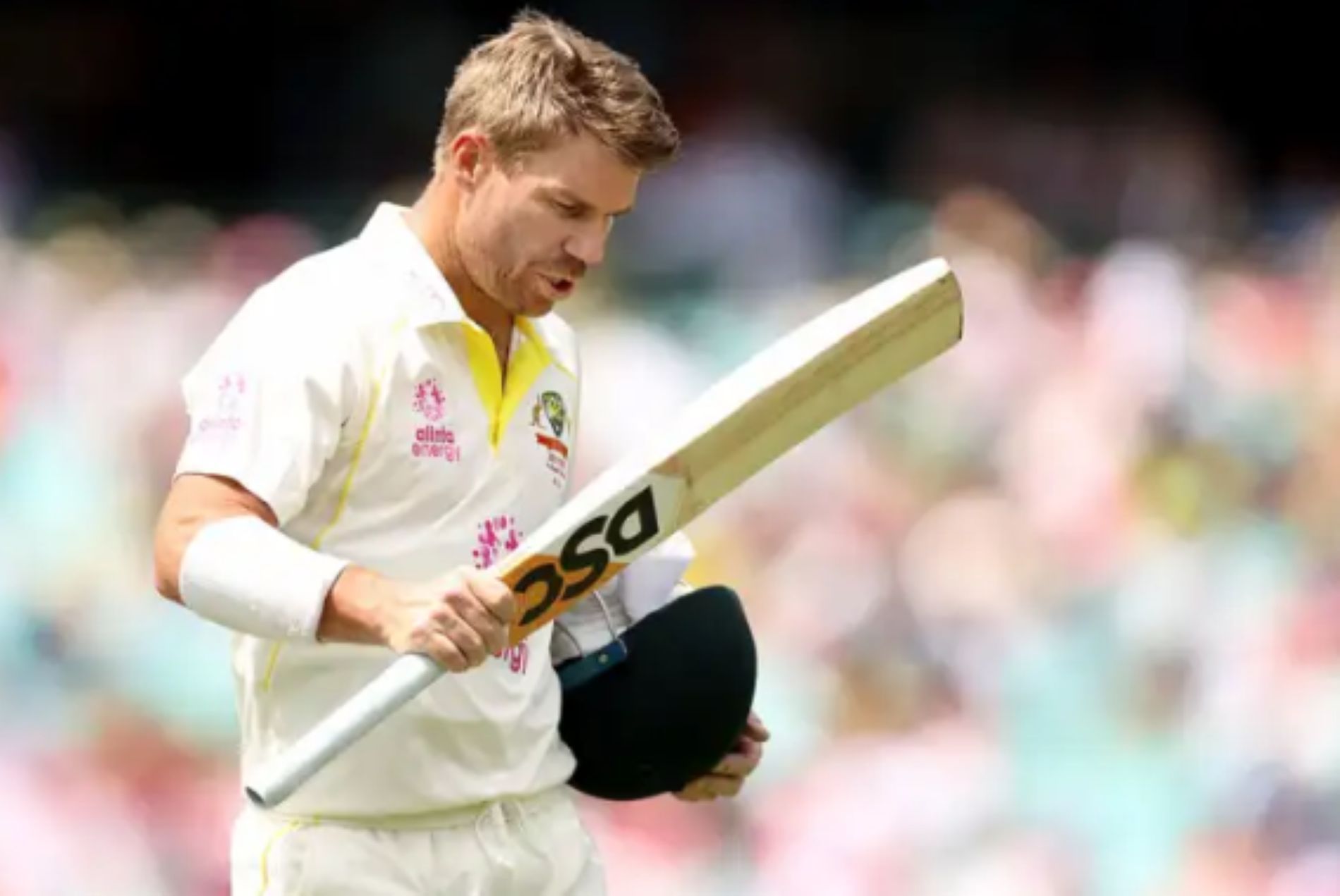 Warner could bid farewell to Test cricket after Australia