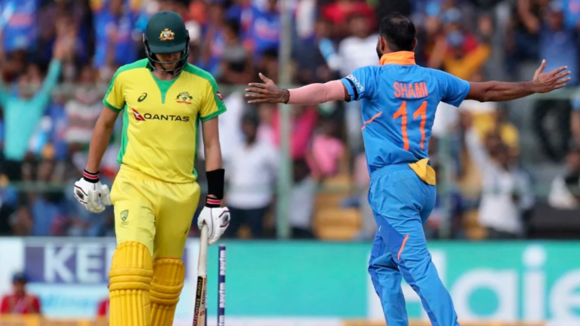 Mohammed Shami celebrates after bagging the wicket of Pat Cummins. (Pic: AP)