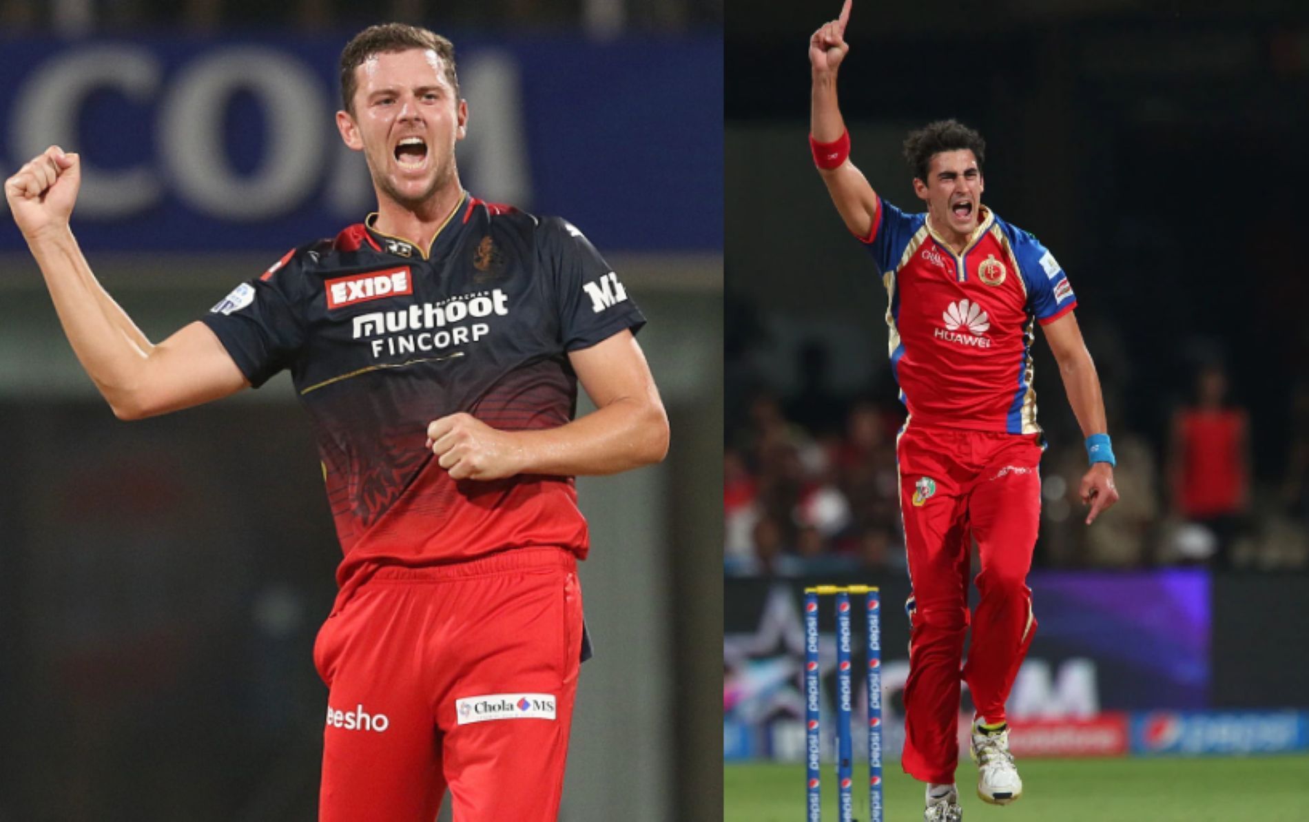 RCB could replace Hazlewood with his Aussie teammate Mitchell Starc