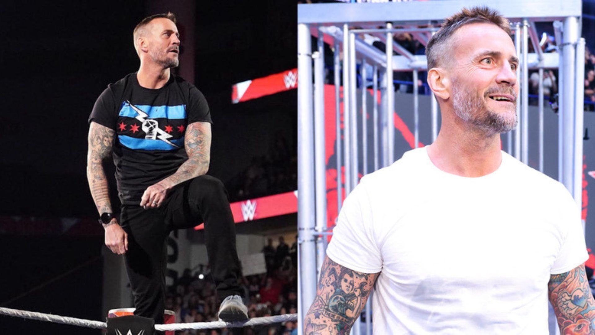 CM Punk returned to WWE at the Survivor Series PLE